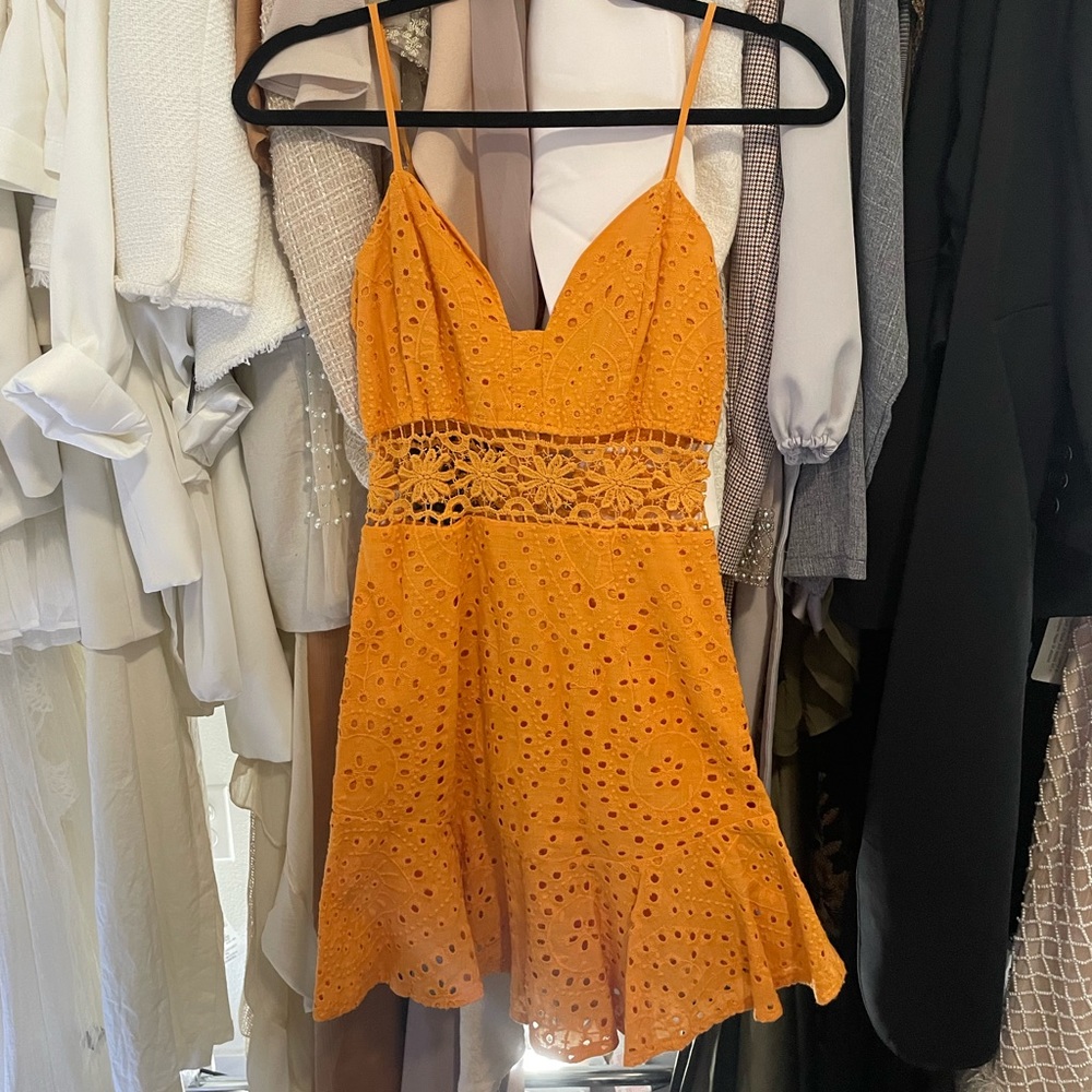 Fashion Nova Dress